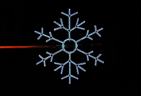FLOC DE NEU 2